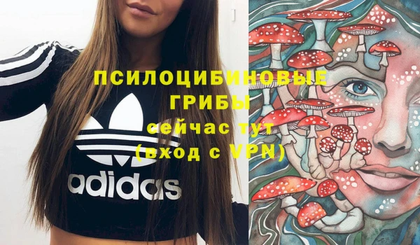 стаф Кукмор