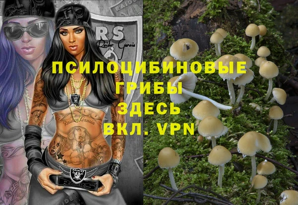 герыч Кулебаки