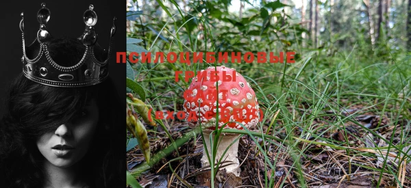 стаф Кукмор