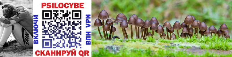 Купить закладки  Болхов  Галлюциногенные грибы Psilocybine cubensis 